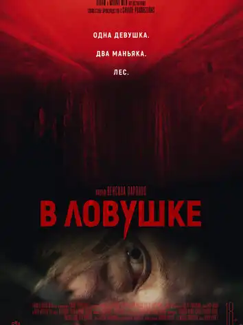 постер В ловушке
