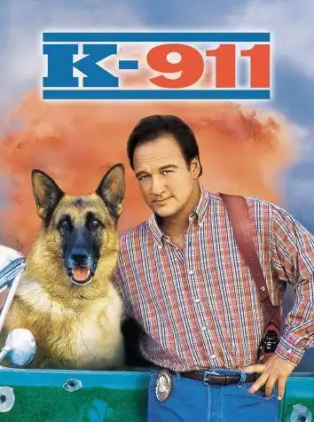 постер К-911
