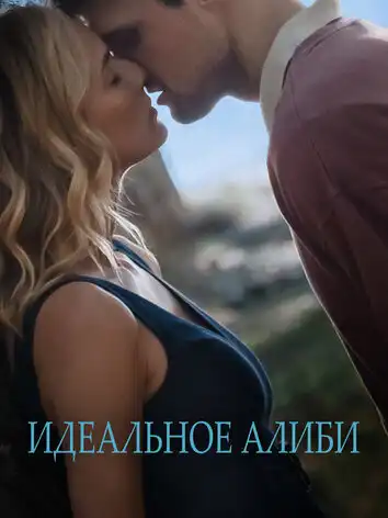 постер Идеальное алиби