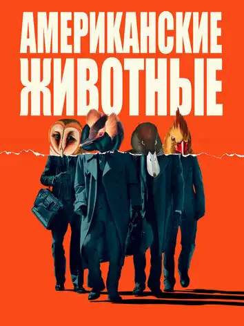 постер Американские животные